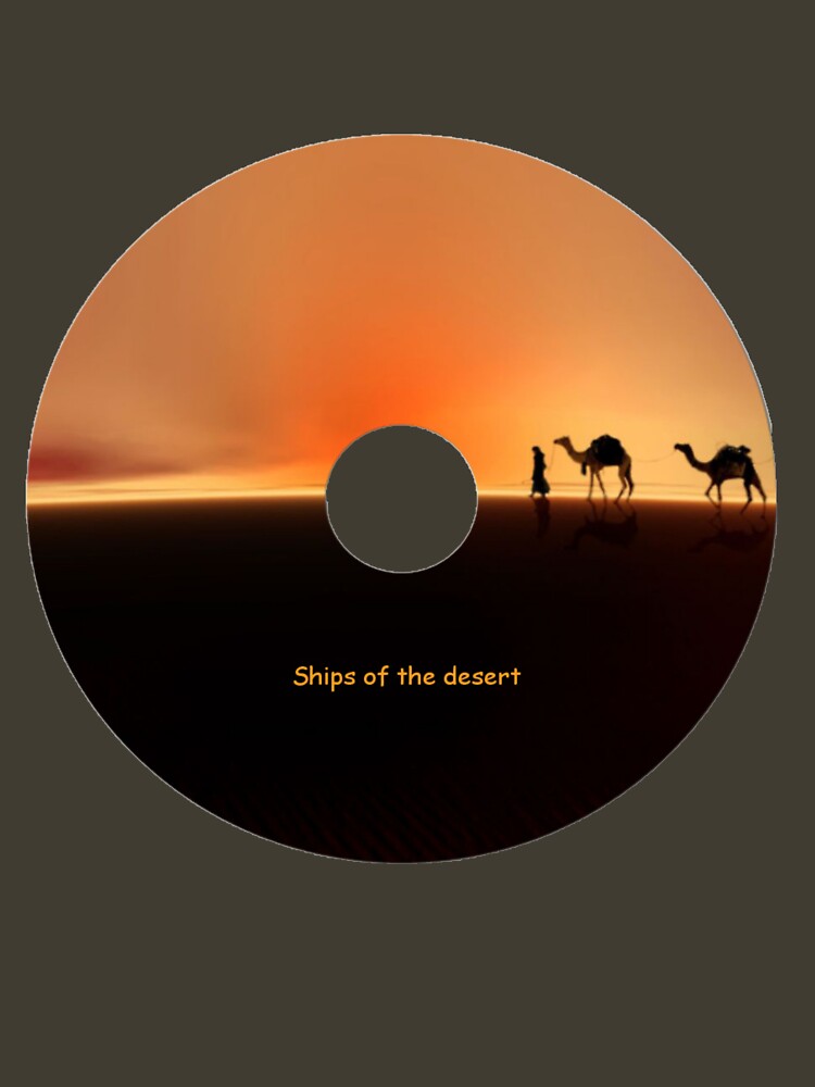 Desert Mirage by valzart