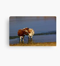 Relief on a hot day Canvas Print