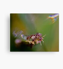 Survival Mode Metal Print