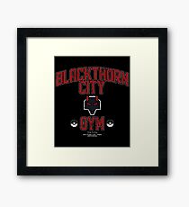 Blackthorn City Gym Framed Print