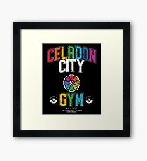 Celadon City Gym Framed Print