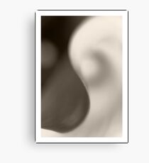 YingYang Canvas Print