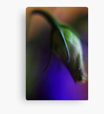 sadness Canvas Print