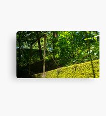 Metal in the park Canvas Print