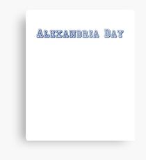 Alexandria Bay Metal Print
