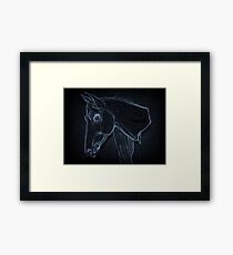 Equine Outline Framed Print