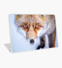 Vinilo para portátil Curioso Fox