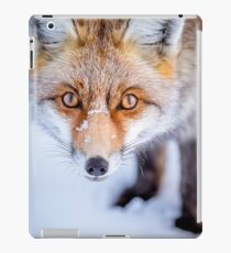 Curious Fox iPad Case/Skin