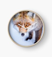 Neugieriger Fuchs Uhr