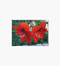 AMARYLLIS Art Board
