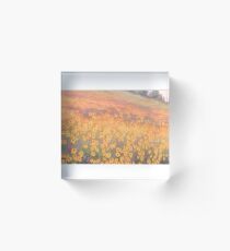 Wildflower Mural without text Acrylic Block