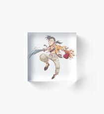 Kung Fu Acrylic Block