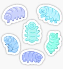 Squishy Blue Tardigrades Sticker