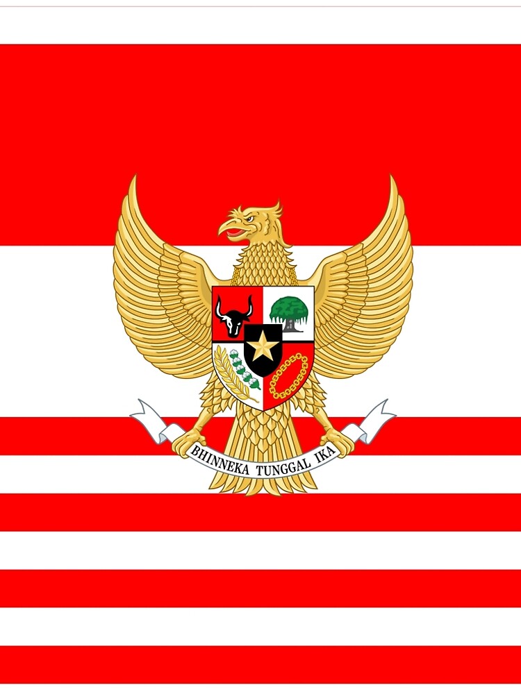 "Garuda Pancasila 2" A-Line Dress by planetterra | Redbubble