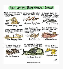 Life Lessons from Various Snakes Photographic Print