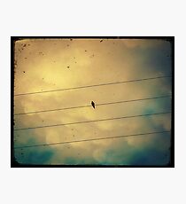 Like a bird on a wire... Photographic Print