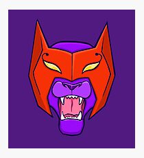 Lámina fotográfica Catra She-Ra Princesa del Poder He-Man