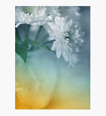 Whispery White Vintage in Vase Photographic Print
