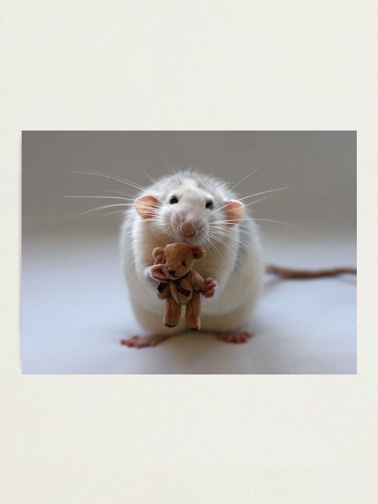 Alternate view of Me and my bear. Photographic Print