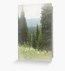 Old Growth Forest Greeting Card