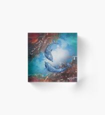 Dolphins play Acrylic Block