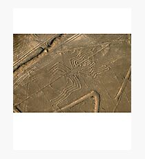 UFOs Aliens Crop Circle Photographic Print