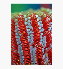 Loops Photographic Print