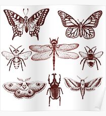 Red Insect Series in pointillism Poster