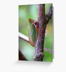 Horned Green Treehopper Greeting Card