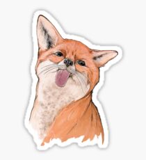 Funny fox Sticker