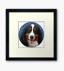 Bernese Mountain Dog with Mt of the Holy Cross Framed Print