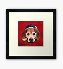 Beagle Portrait on a Red Background Framed Print