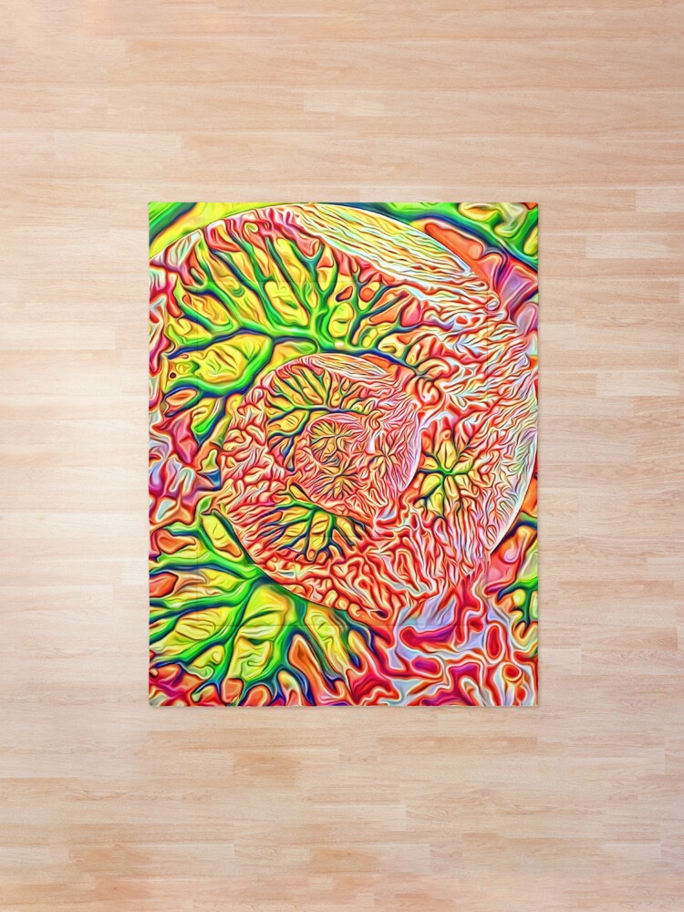 Alternate view of interesting... Comforter