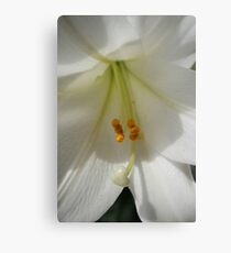 The Beauty Inside Metal Print