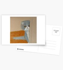 Precious Peeking from Behind a Door Postcards