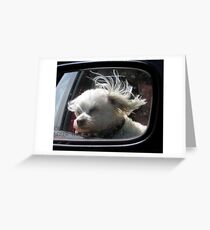 Oooh, how I love the wind and rain in my hair... Greeting Card