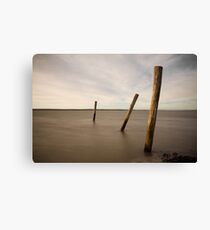 poles in time Canvas Print