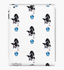Vinilo o funda para iPad Bully ... El Boston Terrier