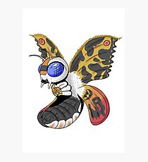 Moth Photographic Print