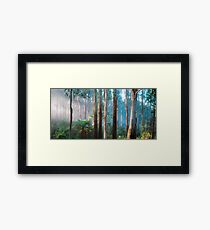 Sherbrooke Forest Framed Print