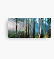 Sherbrooke Forest Canvas Print