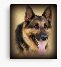 Handsome Fella Canvas Print