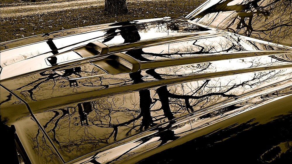 "Classic Car Hood" by AlphaEyePhoto Redbubble