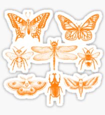 Yellow Insect Series Sticker