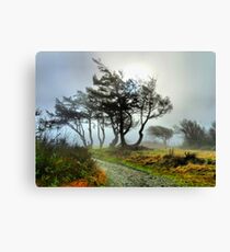 Magic Path Canvas Print