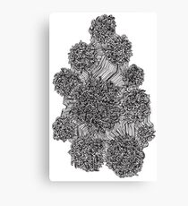Mazed Canvas Print