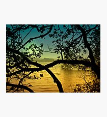 Tandlewood Tales Photographic Print
