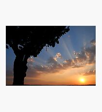 Autumn tree and sunset Photographic Print