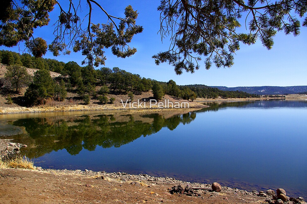 "Quemado Lake" by Vicki Pelham Redbubble