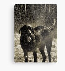 Cooling Off Metal Print